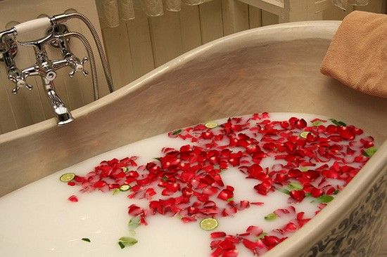 Rose simple - rose bleu