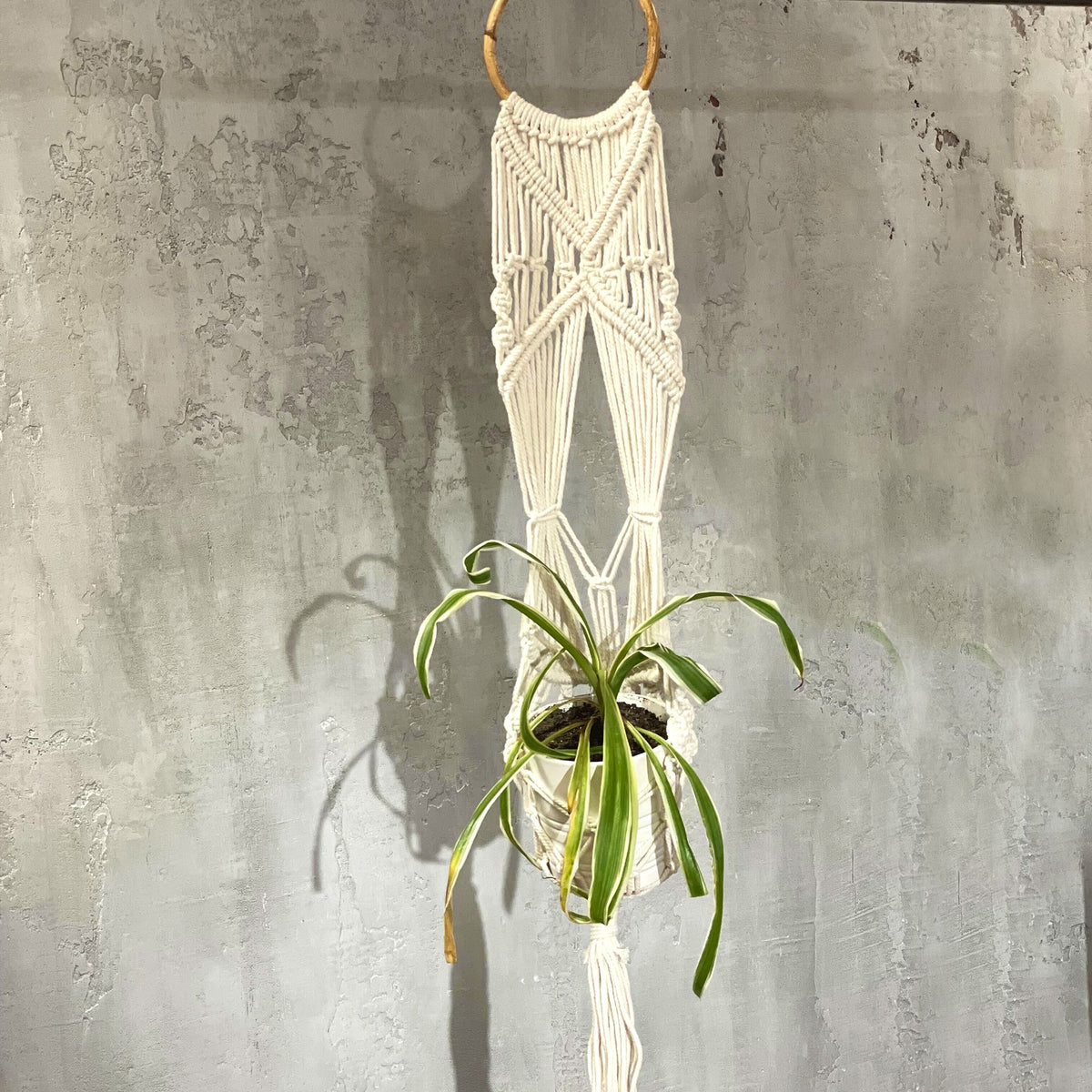Jardinière en macramé - Longue avec cerceau en rotin
