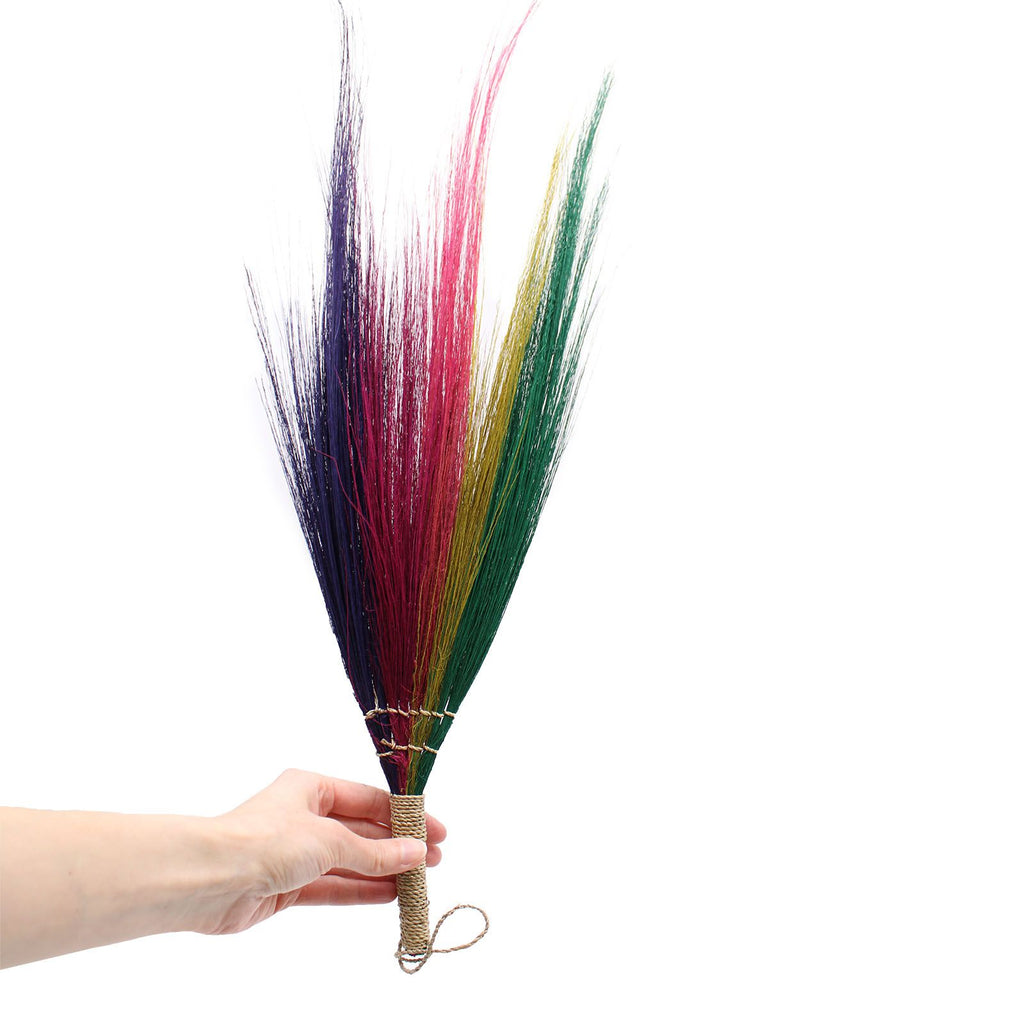 Ensemble 4 - Balai de la pampa - Couleurs arc-en-ciel