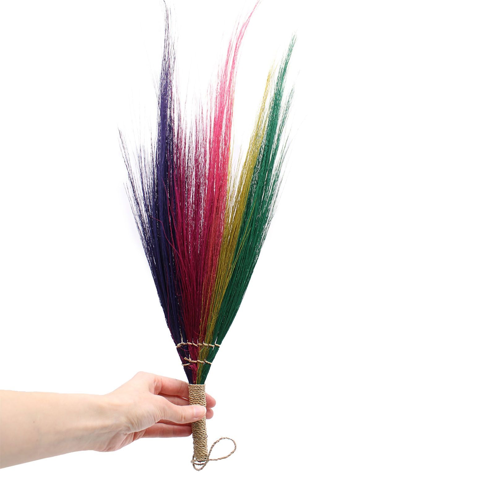 Ensemble 4 - Balai de la pampa - Couleurs arc-en-ciel