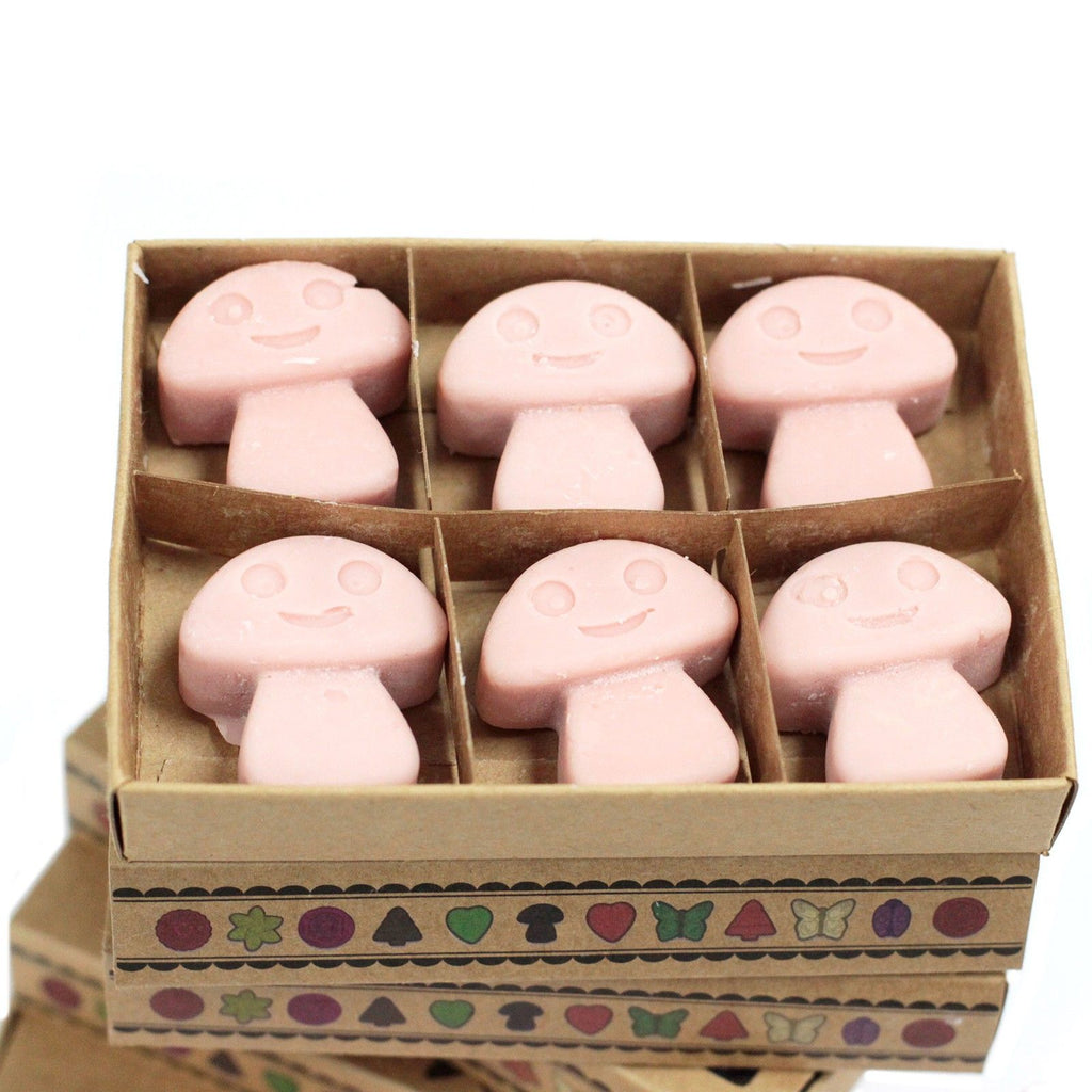 Boîte de 6 cires de soja - Café