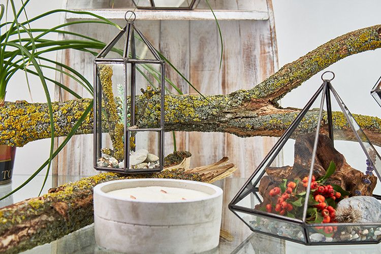 Terrarium en verre - Lanterne