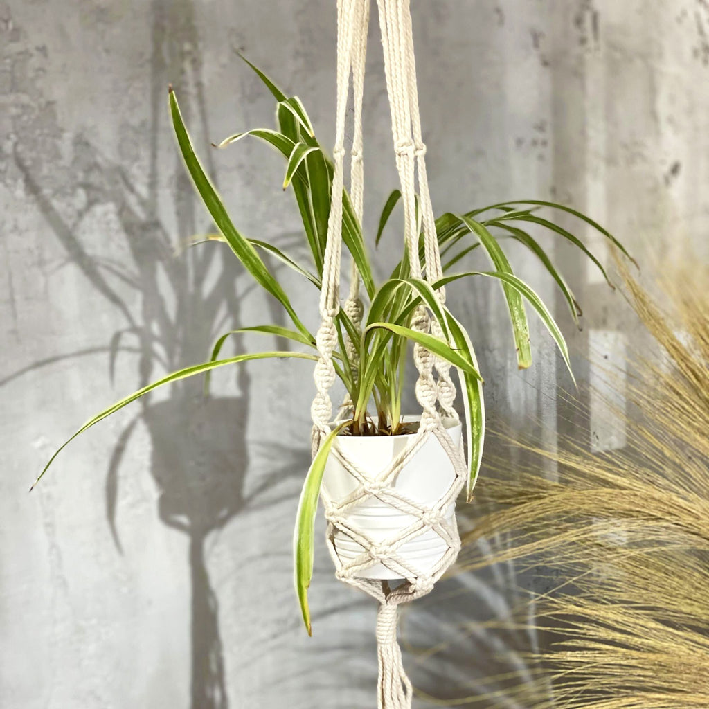 Jardinière en macramé - Grande - Extra longue