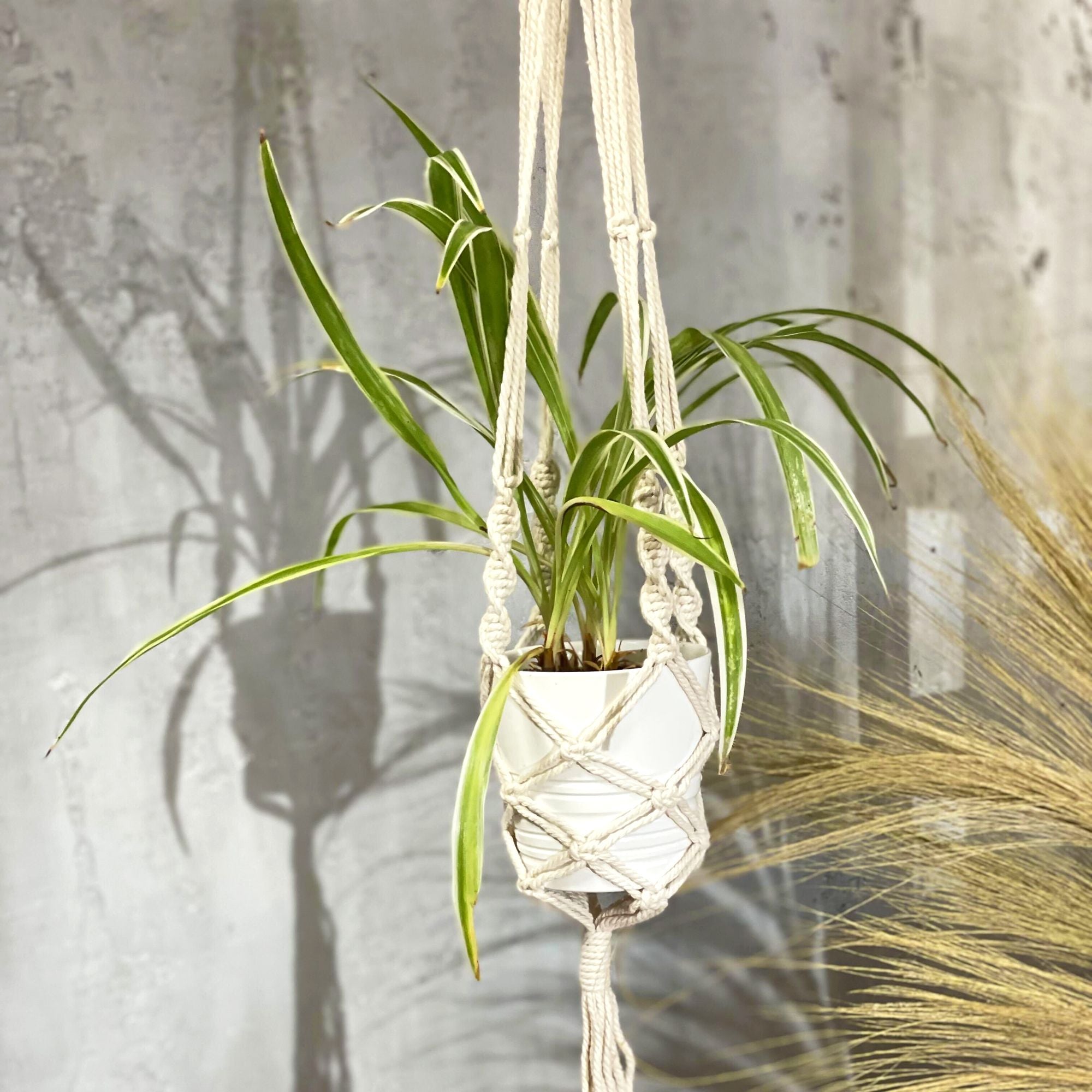 Jardinière en macramé - Grande - Extra longue