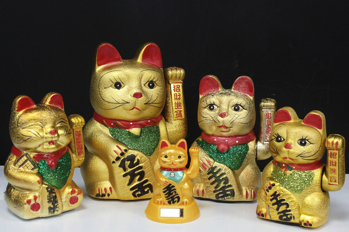 Money Cat - Gros