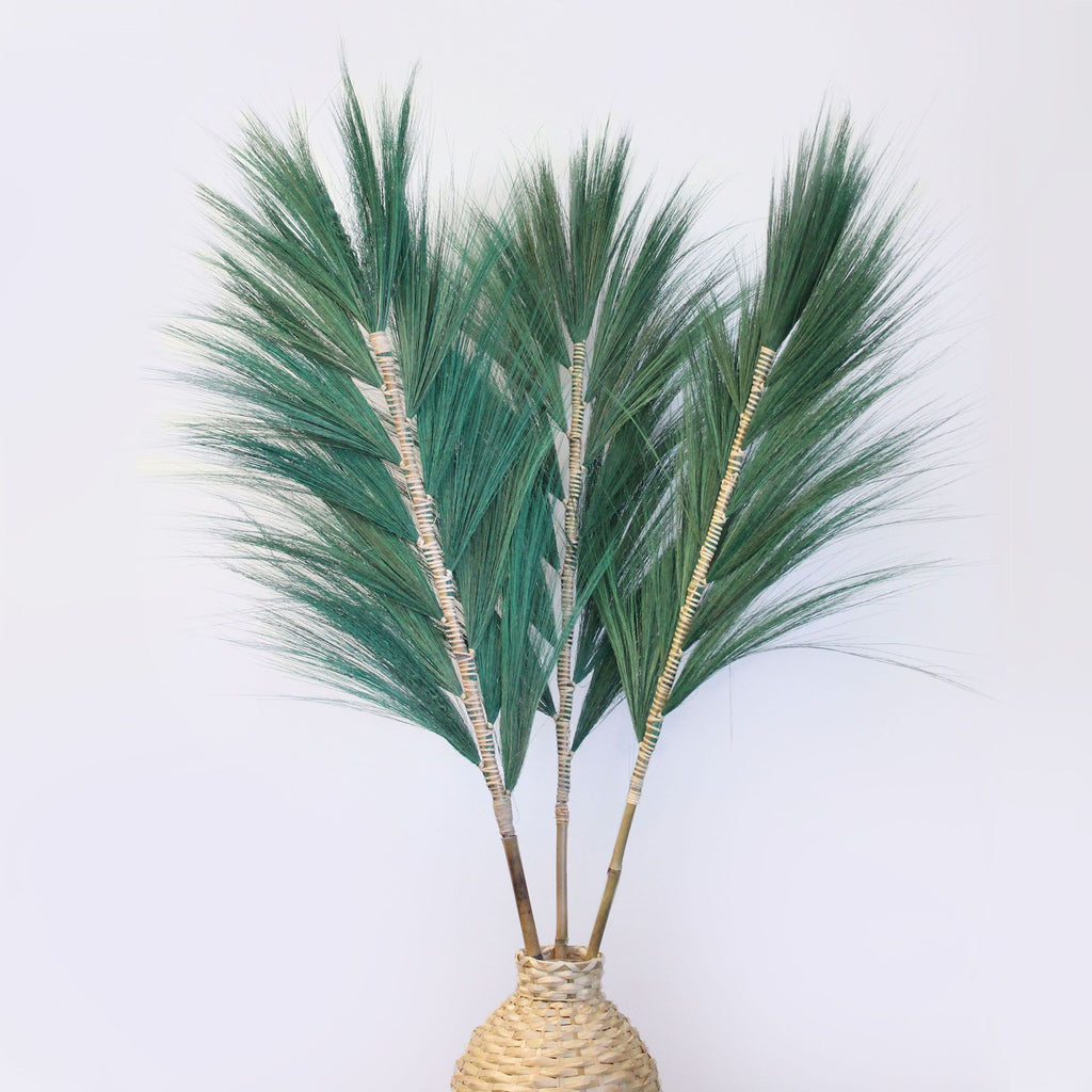 Palmera Verte de Rayung - 1,6 m