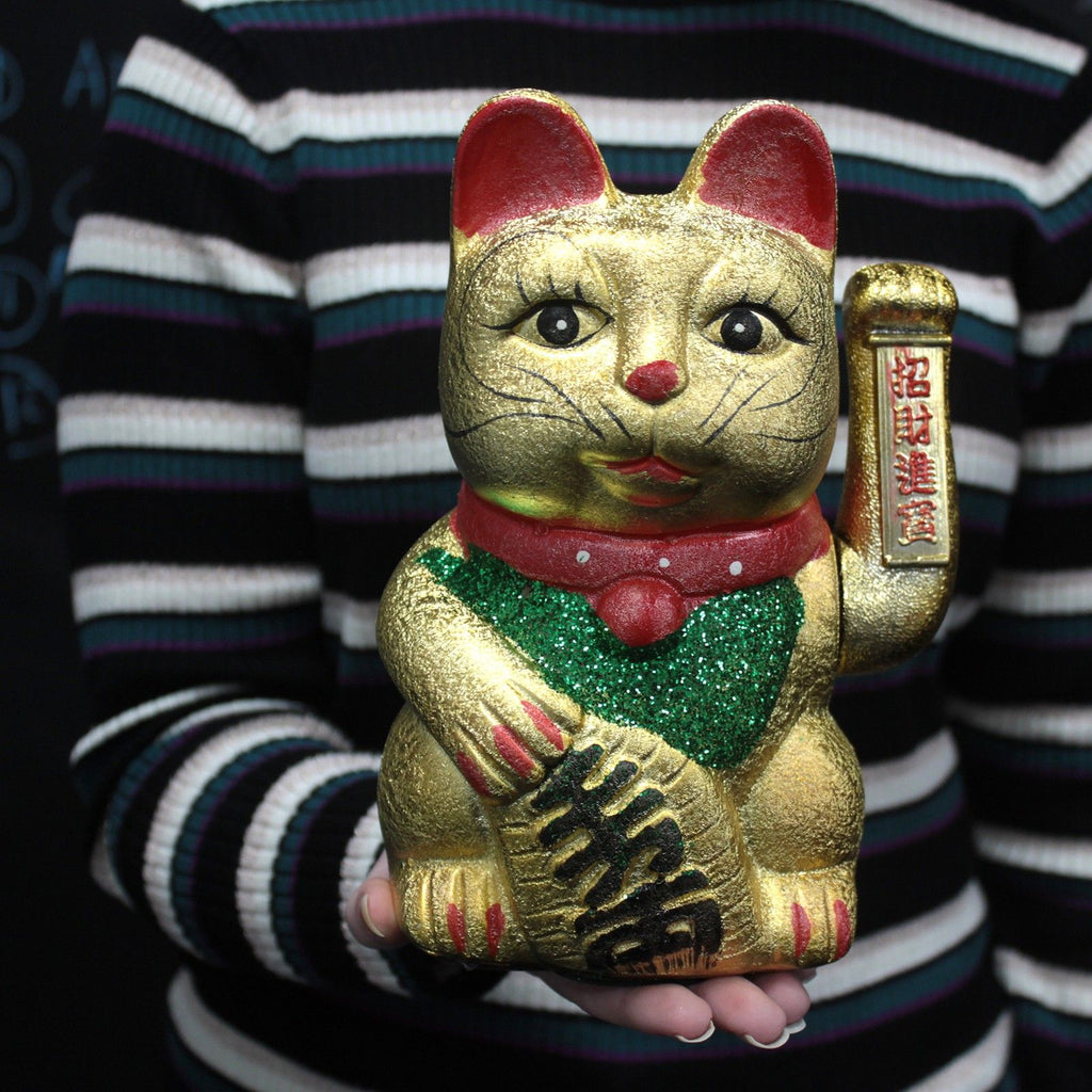Money Cat - Gros