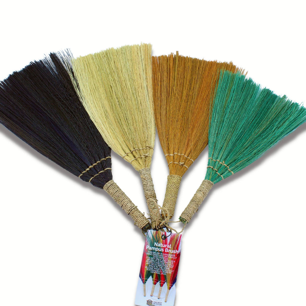 Lot de 4 balais éventails en herbe de la pampa - Couleurs et tailles assorties