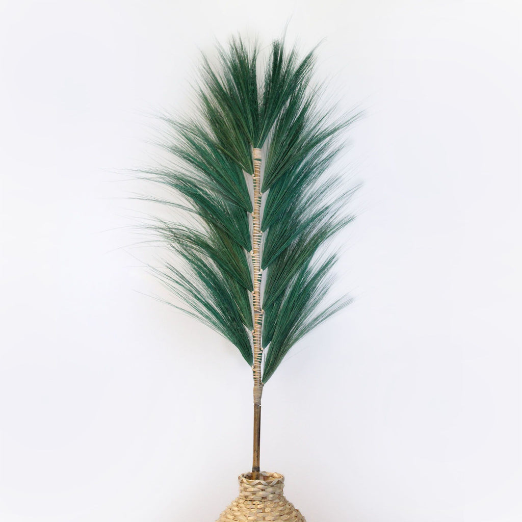 Palmera Verte de Rayung - 1,6 m
