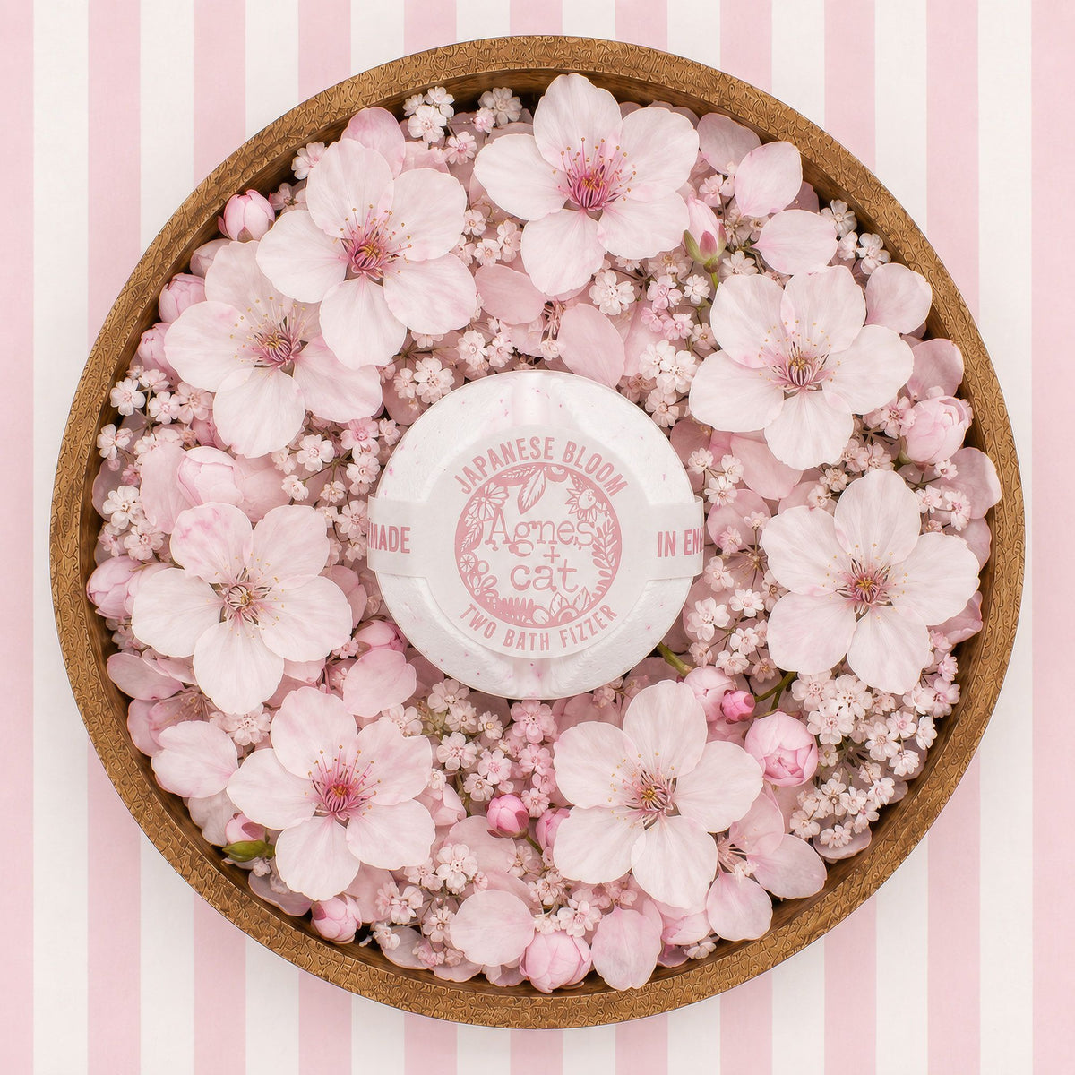 Coffret cadeau de galets de bain effervescents – Favoris du Lakeland – Agnes + Cat