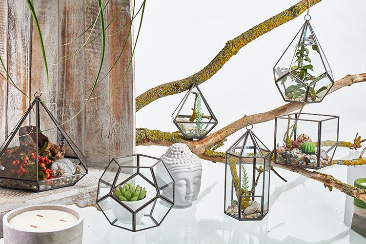 Terrarium en verre - Cube d'angle