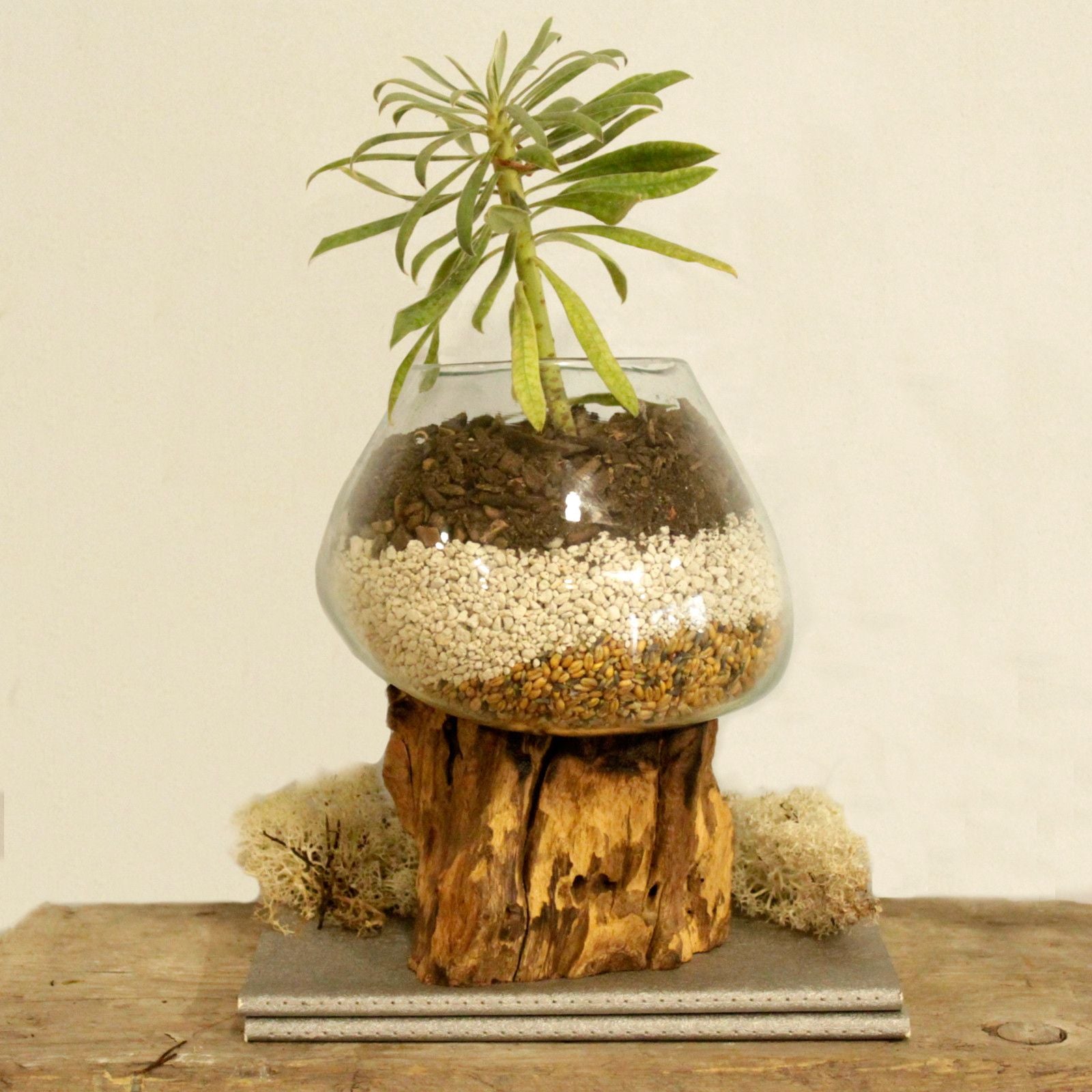 Bol en verre fusionné sur bois