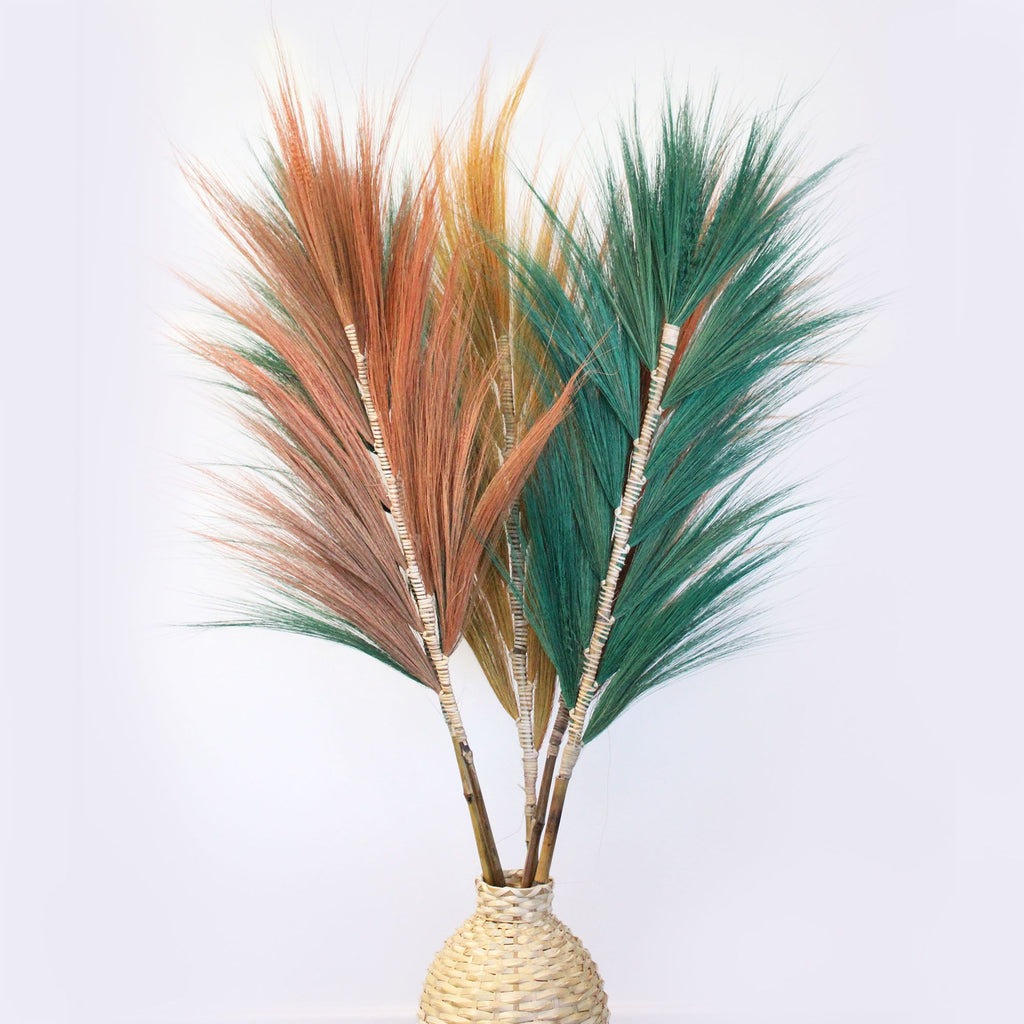 Palmera Verte de Rayung - 1,6 m