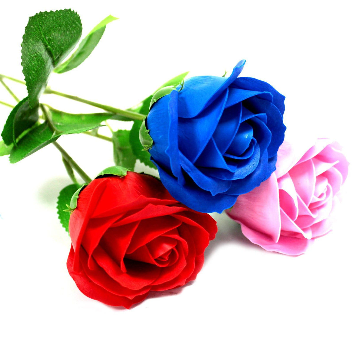 Rose simple - rose bleu