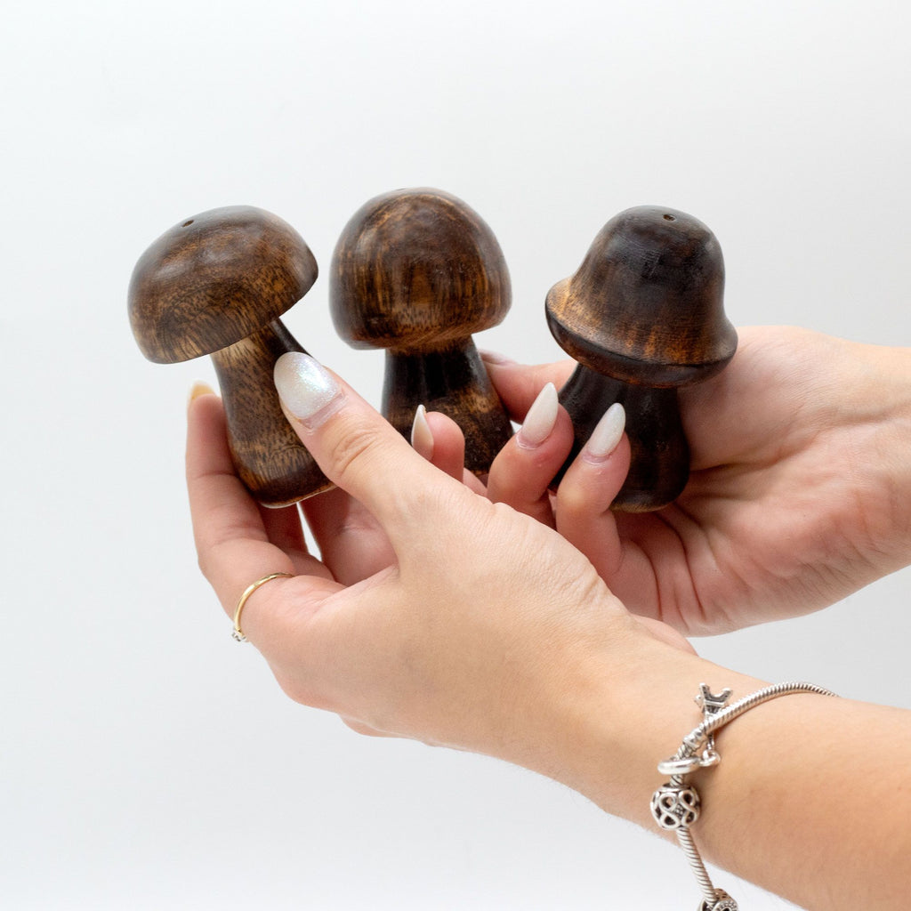 Lot de 3 mini champignons à encens (8 cm 7 cm 6,5 cm)