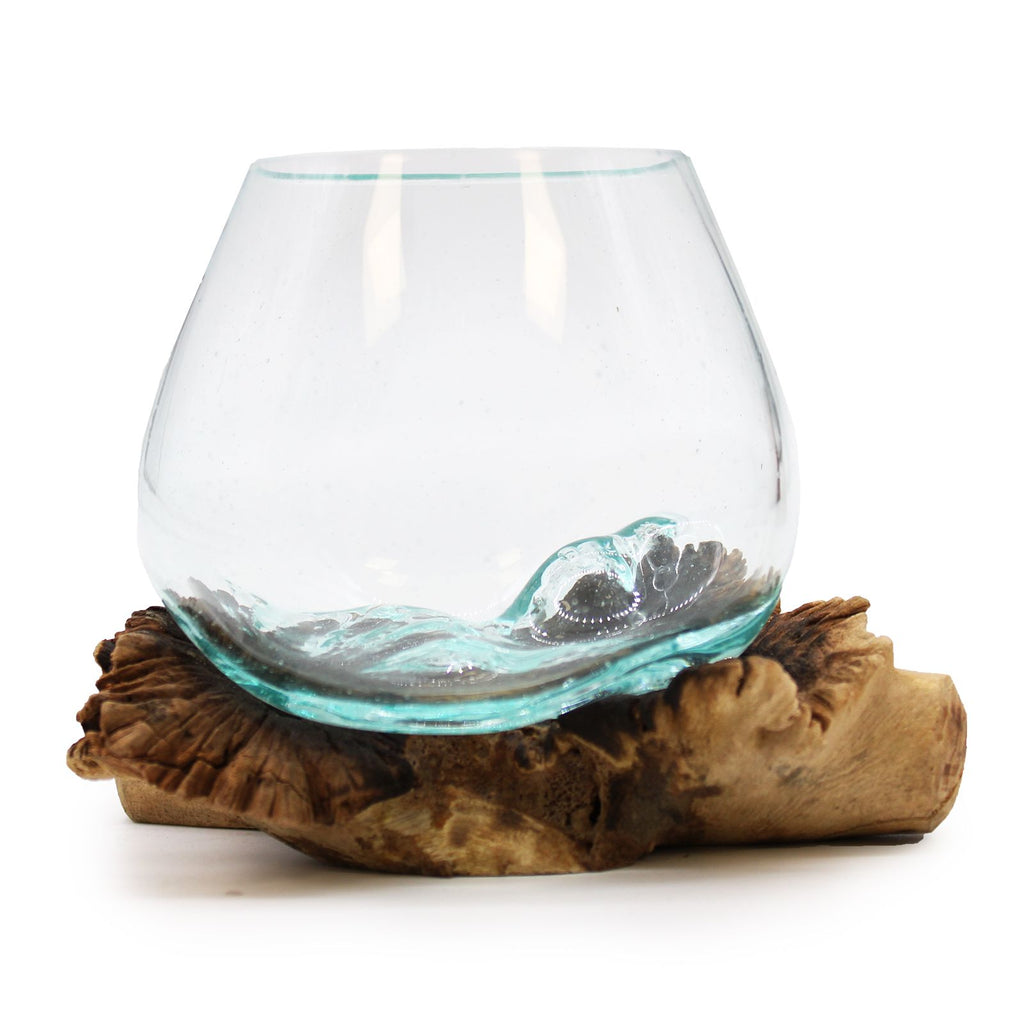 Verre fusionné sur bois parasite rare
