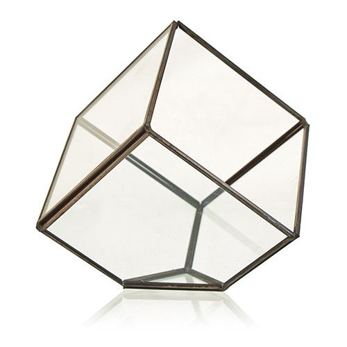 Terrarium en verre - Cube d'angle